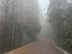 -山王坪喀斯特国家生态公园