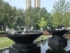 -清河半岛温泉度假酒店