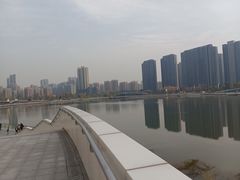 -金沙湖公园