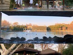 -春晖园度假酒店温泉