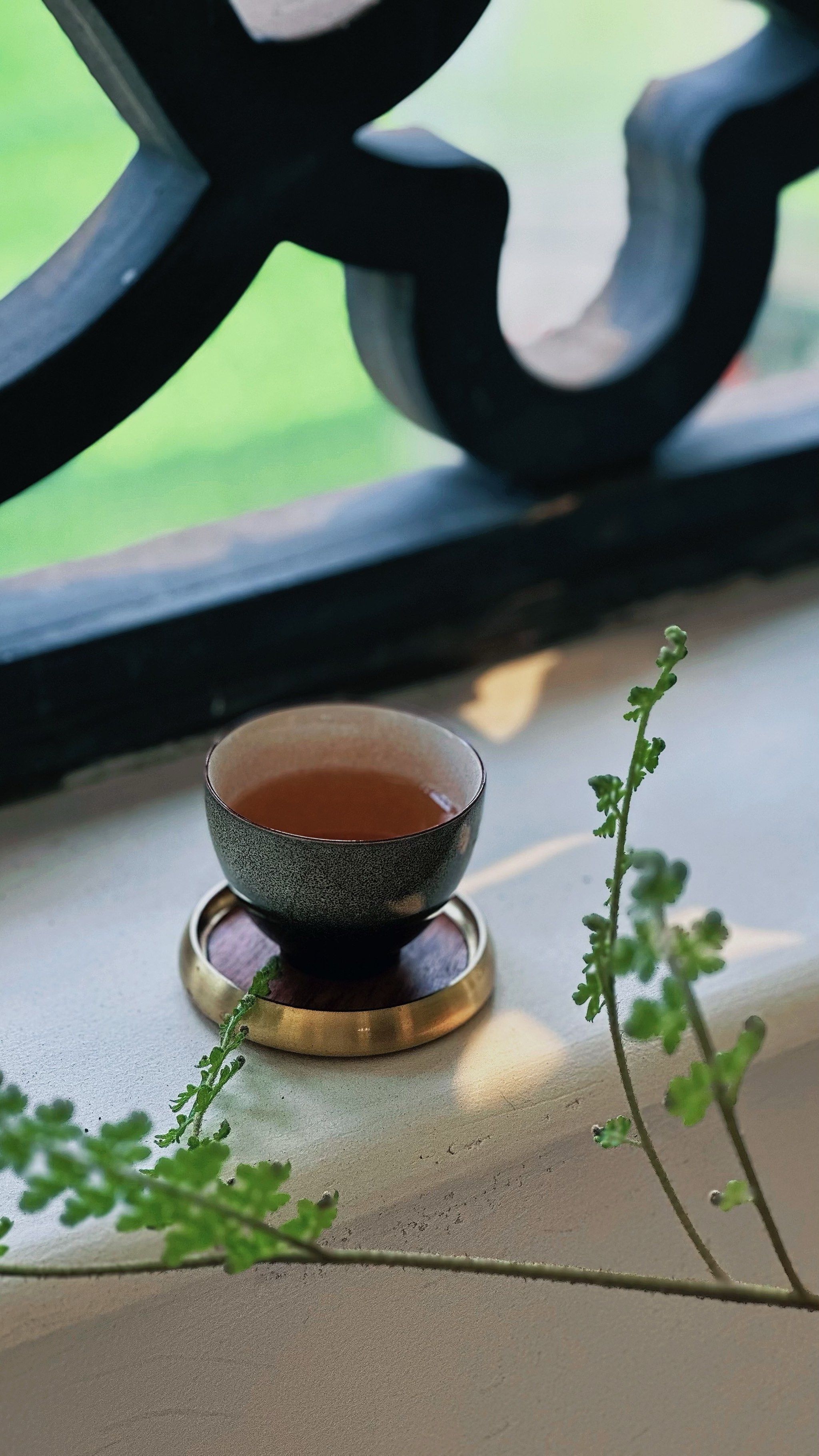 清晨一杯茶,心静如水