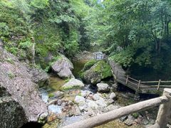 -牛背梁国家森林公园