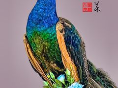 -雀蓝川菜(滨湖万象汇店)