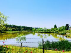 -上海长兴岛郊野公园