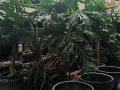 -北京湖广会馆