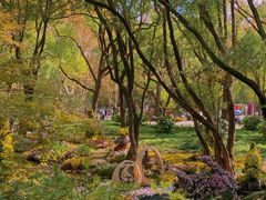 -上海共青森林公园