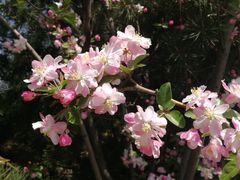 -云岗森林公园