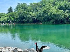 -南京珍珠泉风景区
