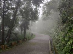 -广州市帽峰山景区