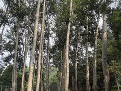 -仁和公园(顺义区)