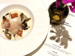 -蝶舍·MAISON PAPILLON