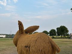 -嘉北郊野公园