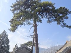 -妙峰山风景名胜区