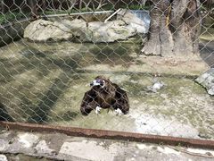 -南昌动物园
