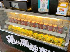 -猫的魔法密林(衣裳街店)