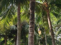 -深圳湾公园(南山区)