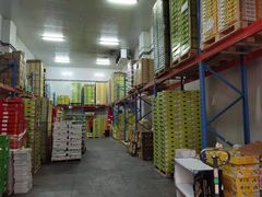 -西郊国际农产品交易中心