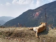 -长沙黑麋峰国家森林公园