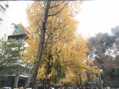 -四川大学(华西校区)