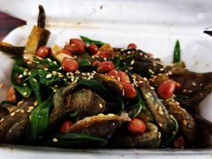 -陈添記·祖傳爽鱼皮·西关老字号(广州首店)