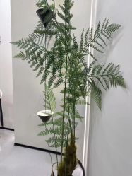 -Four Seven·半永久野生眉纹眉