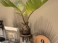 -云锦壹号·淮扬宴(徐汇万科店)