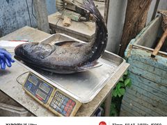 -姥家大锅台水库渔家