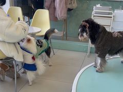 -怪兽屋·羊驼·猫咖·狗咖(俊华广场店)