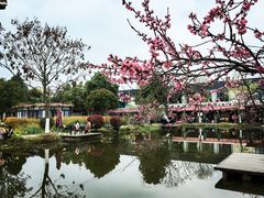 -洪湖家庭农场·团建·露营·会议