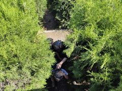 -亲兄弟真人CS团建拓展基地