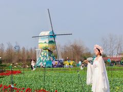 -荷兰花海