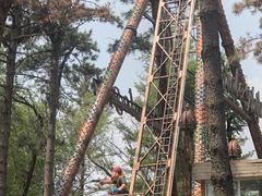 -长春市南湖公园