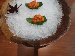 -月龍吟(朝龙汇店)