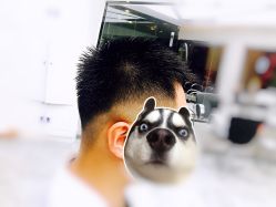 -变画·发型STUDIO