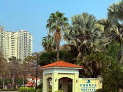 -仙湖旅游度假区