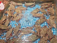 -连鹭海鲜·海肠捞饭·海胆饭(星海店)