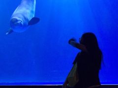 -多彩贵州城极地海洋世界