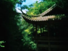 -藏龙百瀑风景区