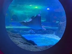 -常州海昌海洋探索馆