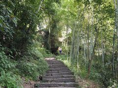 -武夷山风景名胜区-虎啸岩