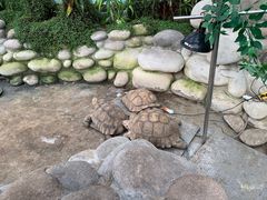-南宫五洲植物乐园