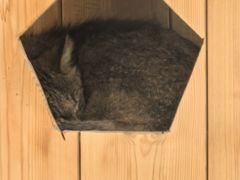 -青藏高原野生动物园