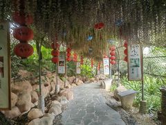 -观澜山水田园