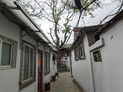 -北京国子监胡同