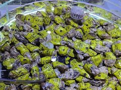 -聚盛源蒸汽海鲜火锅烤肉自助(巨川金海岸购物广场店)