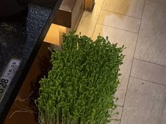-湊湊火锅·茶憩(世博大道店)