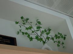 -极简口腔(总院)