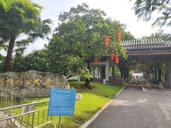 -顺峰山公园