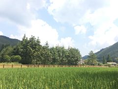 -毛泽东同志旧居