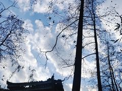 -阿哈湖国家湿地公园